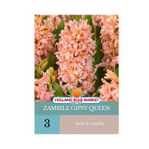 Hectarul - Bulbi de zambile Gipsy Queen, 3 bulbi