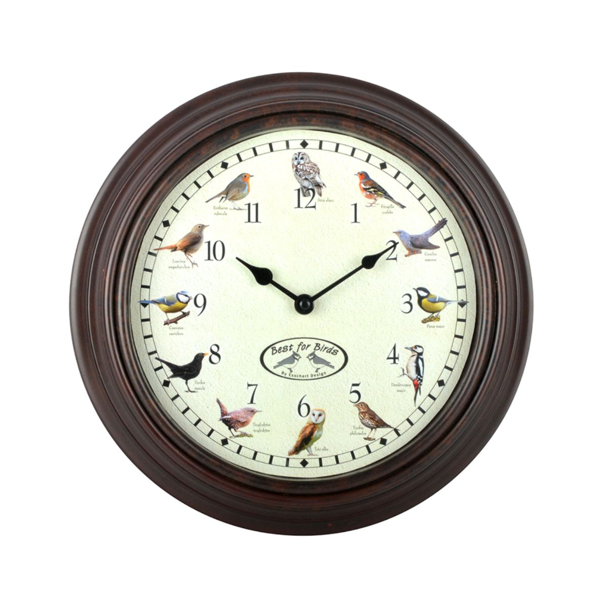 Ceas de perete din polipropilena si PVC Birdsounds Esschert Design, 1, hectarul.ro