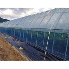 Chinga pentru ancorarea solarului, 3 cm x 500 metri CT0401