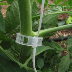 Set 100 buc Clipsuri palisat rosii