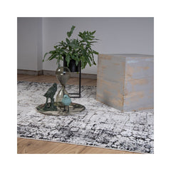 Covor gri din poliester My Phoenix 120 Obsession 140x200