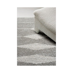 Covor gri din polipropilenă Mehari 23352 Ragolle 160x230