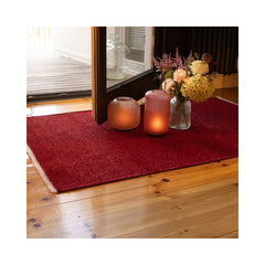 Covor rosu din poliester My Visby 175 Obsession 200x290