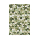 Hectarul - Covor verde din polipropilenă Argentum 63456 Ragolle 160x230