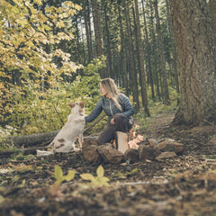Cutit EDC (everyday carry) GERBER , pliabil de buzunar, Ayako