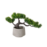 Hectarul - Decoratiune alb/verde design bonsai in ghiveci 21 cm Boltze