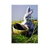 Hectarul - Decoratiune de gradina Iepuras cu ghiveci pentru flori
