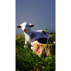 Decoratiune de gradina miel cu ghiveci