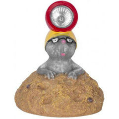 Decoratiune gradina, lampa solara, cartita, 13x13x17 cm