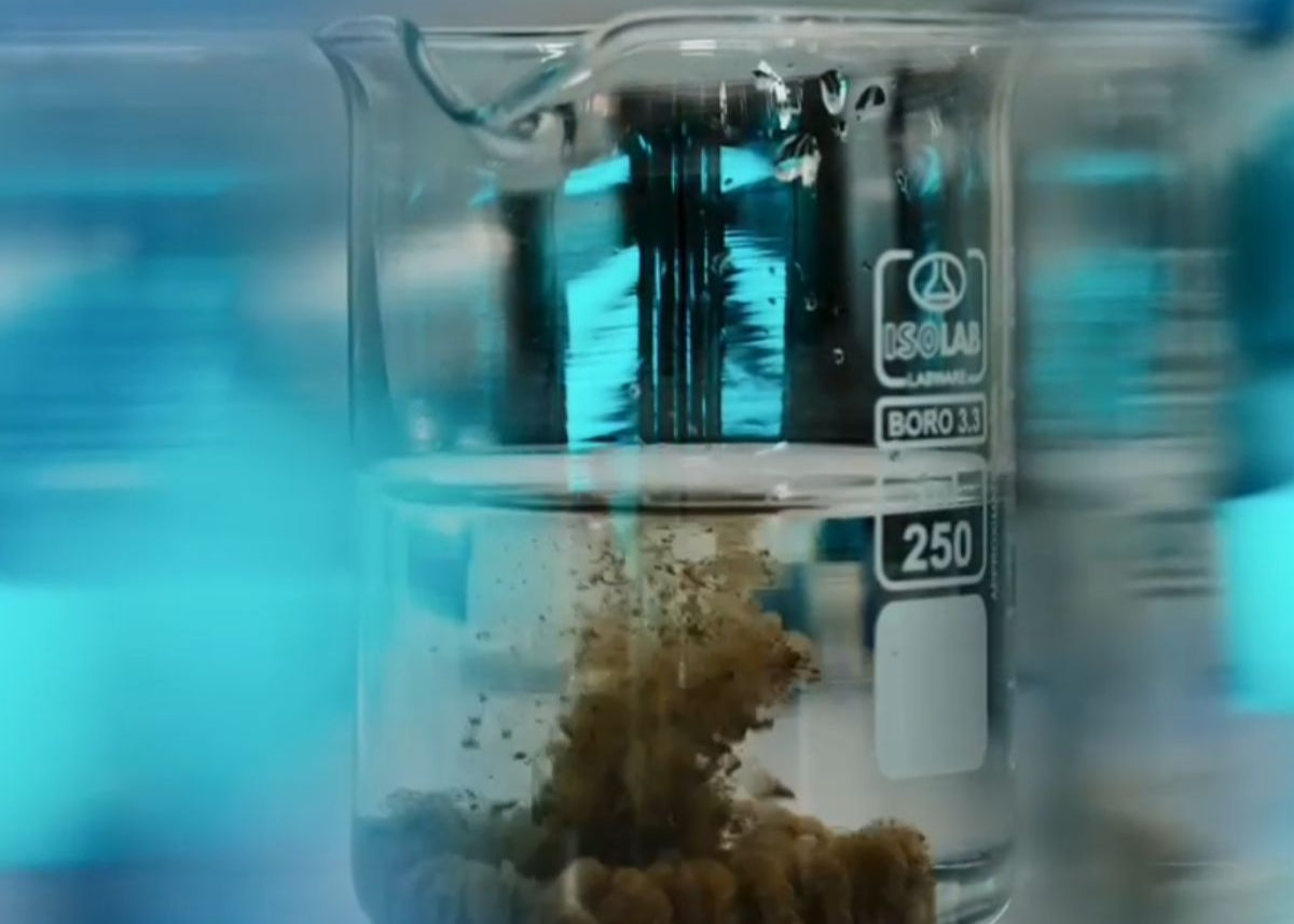 Determinare continut potasiu disponibil in sol - Nutrient esential pentru culturi sanatoase, 1, hectarul.ro