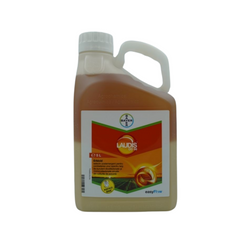 Erbicid porumb Laudis 66 OD, 5L