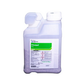 Hectarul - Erbicid porumb Principal Plus, 2.2 Kg