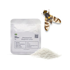 Feromon pentru musca cireselor (Rhagoletis cerasi)