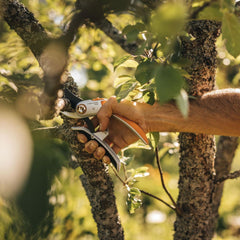 Foarfeca de gradina nicovala Fiskars PoweGear X (P941)