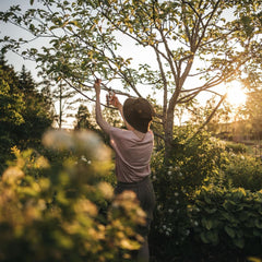 Foarfeca metalica de gradina pas cu pas Fiskars Plus (P751)