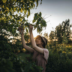 Foarfeca metalica pas cu pas Fiskars Plus (P531)