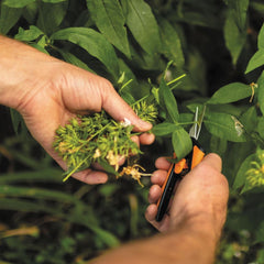 Foarfeca pentru flori Fiskars Solid MicroTip SP13, 215 mm, 40 g