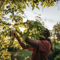 Foarfeca pentru gradina pas cu pas Fiskars Solid (P341)