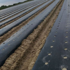 Folie capsuni negru, 1.4 m latime, 500 m lungime, 30 microni 21 kg