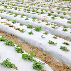 Folie mulcire tratata UV , 15 microni ,gri-negru 1 m latime 2500 m lungime, 37.5 kg