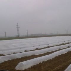 Folie tunel tratata UV , 15 microni 1 m latime 2500 m lungime, 37.5 kg