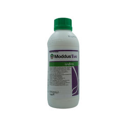 Fungicid pentru grau, orz si secara, 1L, Moddus Evo, SYNGENTA