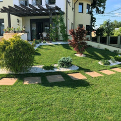 Gazon Rulouri Royal Seceta OxyGazon