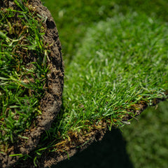 Gazon Rulouri Royal Seceta OxyGazon