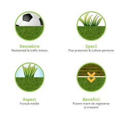 Gazon Rulouri Royal Sport OxyGazon