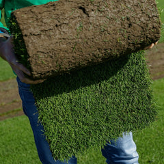 Gazon Rulouri Royal Sport OxyGazon