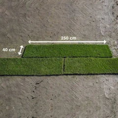 Gazon Rulouri Royal Sport OxyGazon