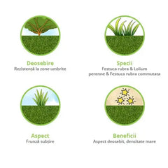 Gazon Rulouri Royal Umbra OxyGazon