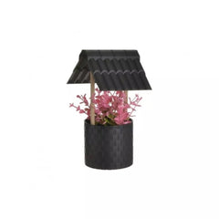 Ghiveci cu plante decorative Fantanita, 5 culori 4