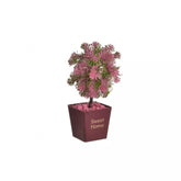 Hectarul - Ghiveci cu plante decorative Glow, 4 culori 1