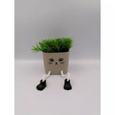 Hectarul - Ghiveci cu plante decorative din plastic 12 cm Smiley face