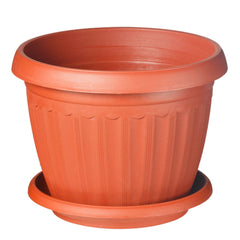 Ghiveci Infinitty D 250