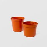 Hectarul - GHIVECI PENTRU RASAD MIC Sterk Plast