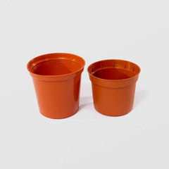 GHIVECI PENTRU RASAD Sterk Plast