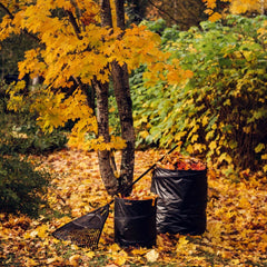 Grebla pentru frunze Fiskars Solid XL, 176 cm, 830 g