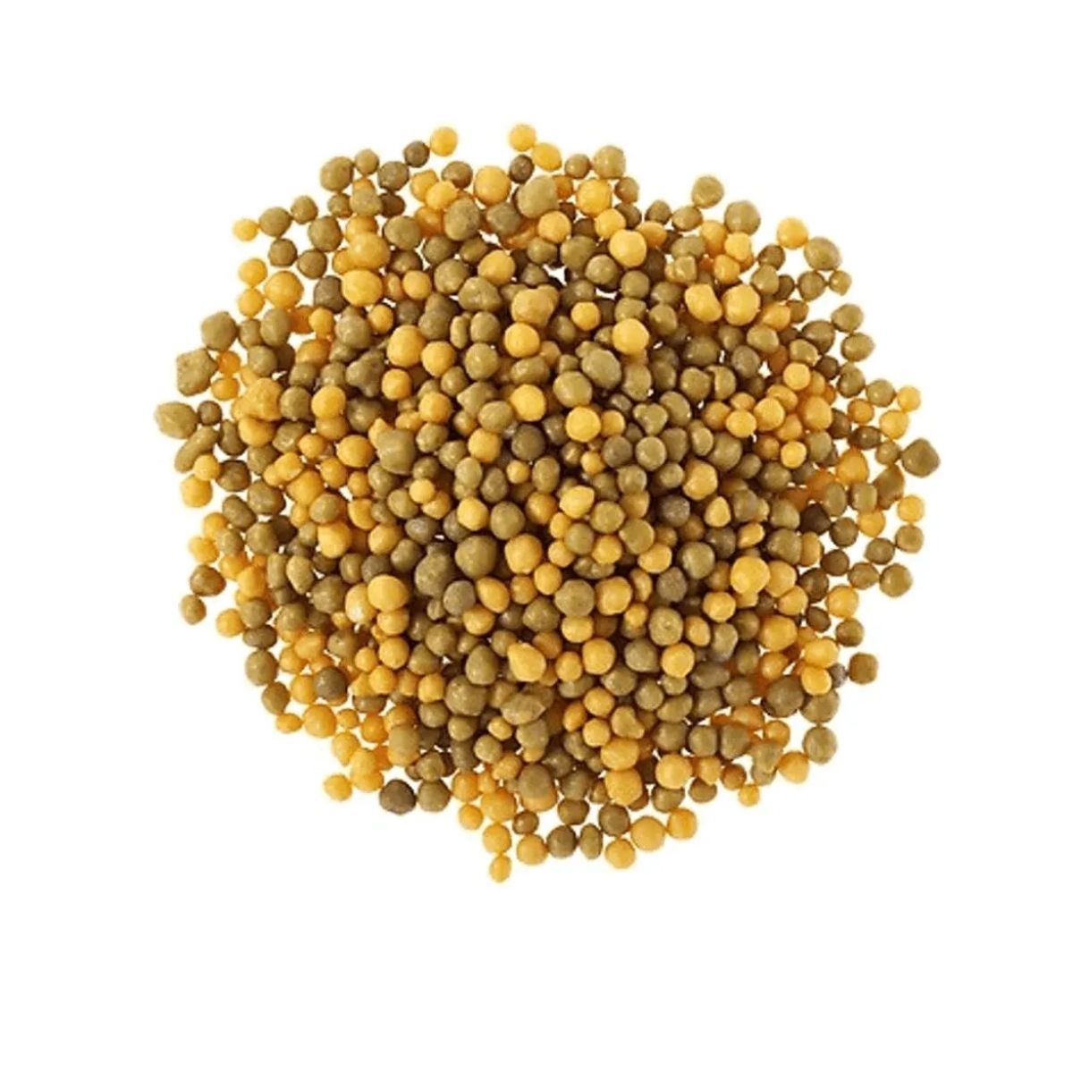 Ingrasamant OSMOCOTE START 11-11-17, 1.5 luni, 1 KG, 1, hectarul.ro