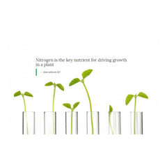 Ingrasamant gazon Sierraform GT Pre-Seeder 18+22+05 ICL Specialty Fertilizers (Everris International) 20 kg