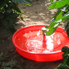 KIT combatere TUTA ABSOLUTA, capcana Tutasan + feromon