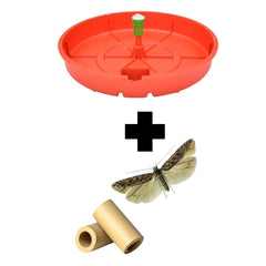 KIT combatere TUTA ABSOLUTA, capcana Tutasan + feromon