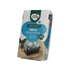 Kit de crestere ciuperci Mini Champ, BUZZY