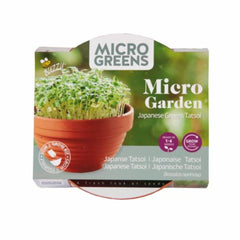 Kit de crestere germeni, tatsoi (varza chinezeasca), BUZZY