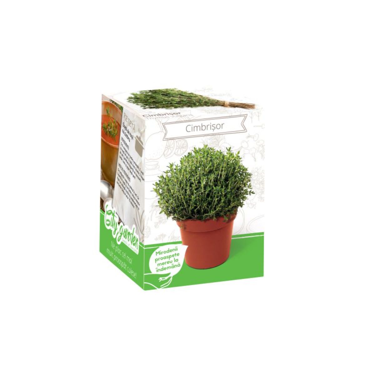 Kit Plante Aromatice Cimbrisor, 1, hectarul.ro