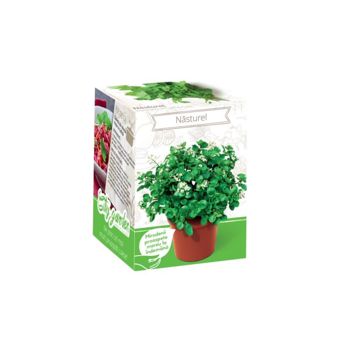 Kit Plante Aromatice Nasturel, 1, hectarul.ro