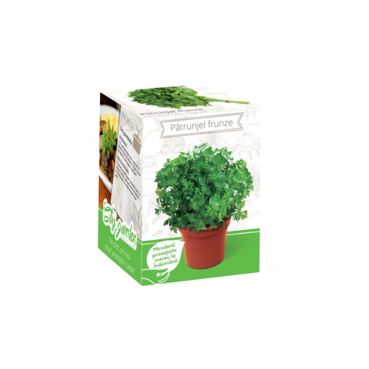 Kit Plante Aromatice Patrunjel Frunza Neteda, 1, hectarul.ro