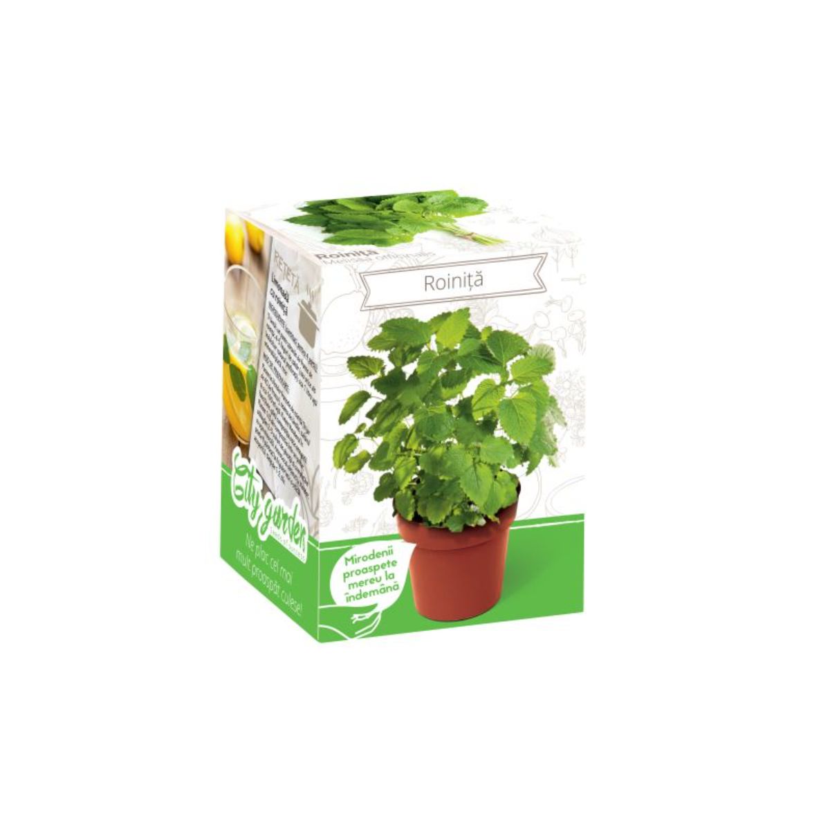 Kit Plante Aromatice Roinita, 1, hectarul.ro