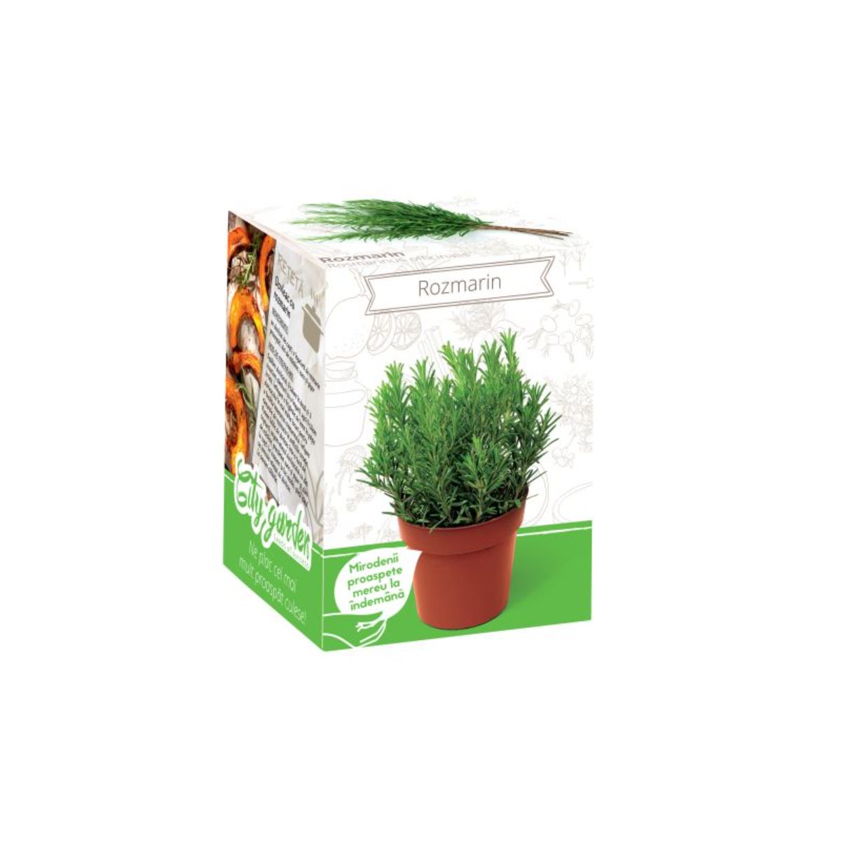Kit Plante Aromatice Rozmarin, 1, hectarul.ro